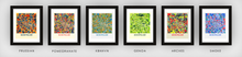 Load image into Gallery viewer, Montpellier Map Print - Full Color Map Poster