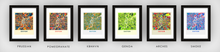 Load image into Gallery viewer, Dayton Map Print - Full Color Map Poster