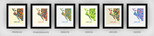 Load image into Gallery viewer, Siesta Key Map Print - Full Color Map Poster