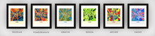 Load image into Gallery viewer, York Map Print - Full Color Map Poster