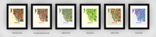 Load image into Gallery viewer, Buffalo Map Print - Full Color Map Poster