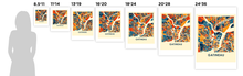 Load image into Gallery viewer, Gatineau Map Print - Full Color Map Poster