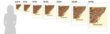 Load image into Gallery viewer, Barcelona Map Print - Full Color Map Poster
