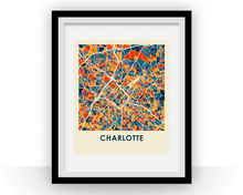 Load image into Gallery viewer, Charlotte Map Print - Full Color Map Poster