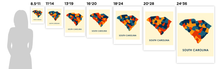 Load image into Gallery viewer, South Carolina Map Print - Full Color Map Poster