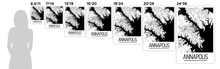Load image into Gallery viewer, Annapolis Map Poster - Maryland Map Print - Art Deco Series