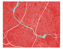 Load image into Gallery viewer, Austin Map Print - Choose your color