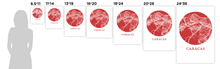 Load image into Gallery viewer, Caracas Map Print - City Map Poster
