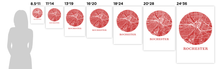 Load image into Gallery viewer, Rochester Map Print - City Map Poster