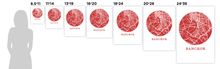 Load image into Gallery viewer, Bangkok Map Print - City Map Poster