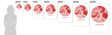 Load image into Gallery viewer, Boston Map Print - City Map Poster
