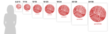 Load image into Gallery viewer, Austin Map Print - City Map Poster