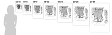 Load image into Gallery viewer, Philadelphia Map Print
