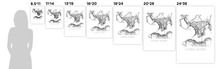 Load image into Gallery viewer, Hong Kong Map Print
