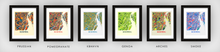 Load image into Gallery viewer, Montreal Map Print - Full Color Map Poster
