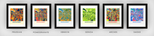 Load image into Gallery viewer, Montgomery Map Print - Full Color Map Poster
