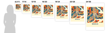 Load image into Gallery viewer, Brasilia Map Print - Full Color Map Poster
