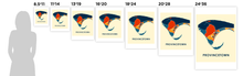 Load image into Gallery viewer, Provincetown Map Print - Full Color Map Poster
