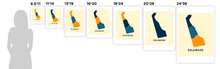 Load image into Gallery viewer, Delaware Map Print - Full Color Map Poster
