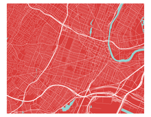 Load image into Gallery viewer, Newark Map Print - Choose your color
