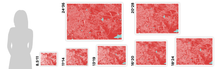 Load image into Gallery viewer, Bangalore Map Print - Choose your color
