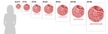 Load image into Gallery viewer, Amsterdam Map Print - City Map Poster
